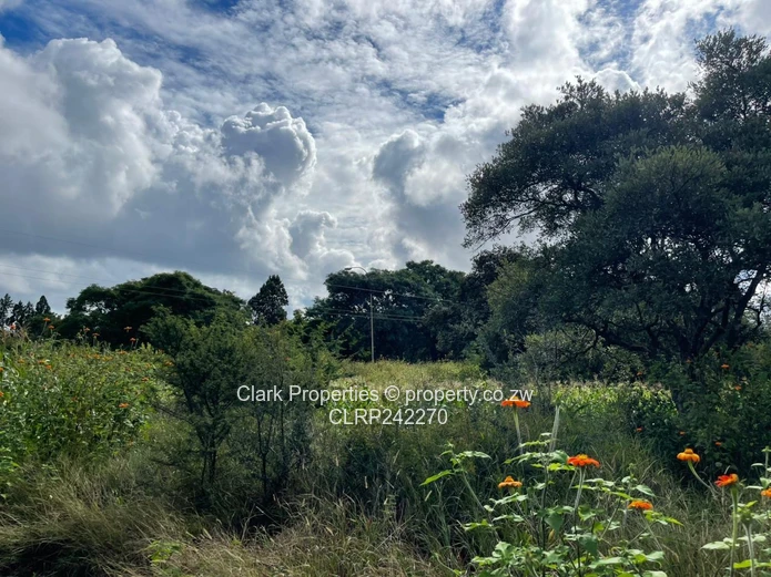 Exceptional Land Opportunity: Three Adjacent Plots