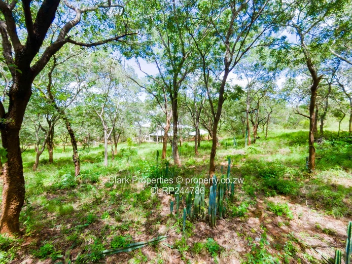 Prime 4,000sqm Residential Stand in Kadoma