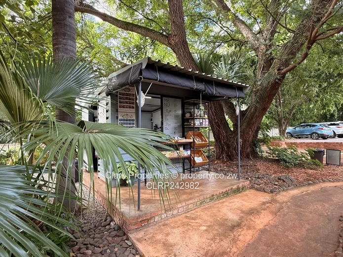 Medical & Wellness Rooms To Let – Highlands