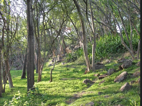 4 Bedroom Townhouse Complex