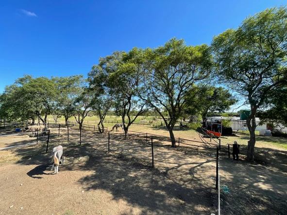 Farm & Agricultural Land