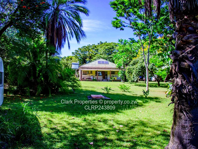 Developers Delight  (Sole Mandate)