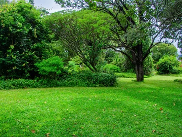 Farm & Agricultural Land