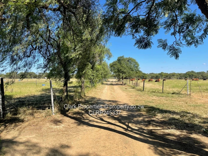 Multipurpose Farm Close To Bulawayo