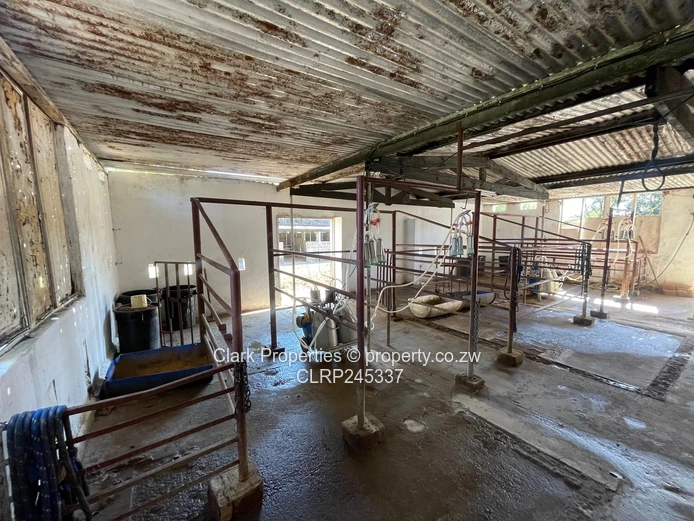 Multipurpose Farm Close To Bulawayo