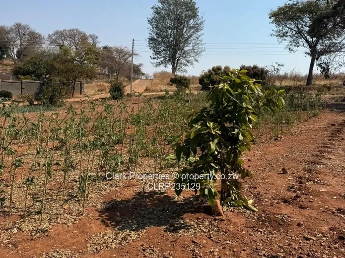 Tynwald Stand Perfect for Home or Investment