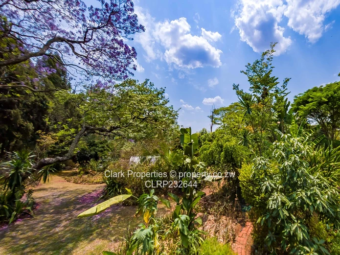 Prime 1 Acre Panhandle Stand in a Beautiful Setting! (Sole Mandate)