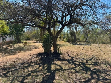 Farm & Agricultural Land