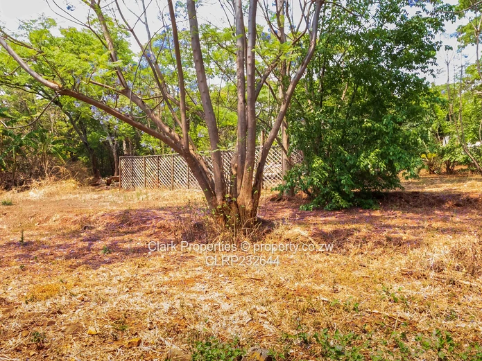 Prime 1 Acre Panhandle Stand in a Beautiful Setting! (Sole Mandate)