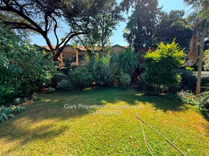 Modern Apartments on Breach Road