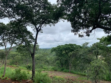 5 Acres with Stunning Views 