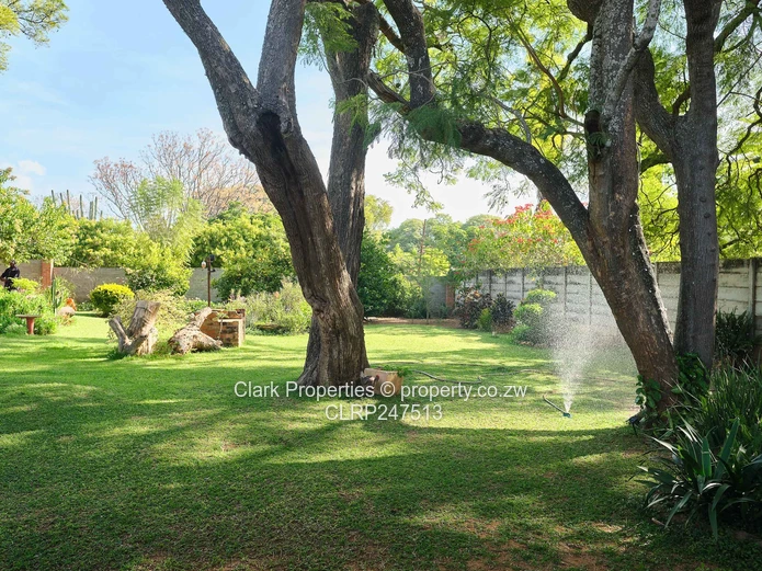 Charming Hillside Home with Undeveloped Land