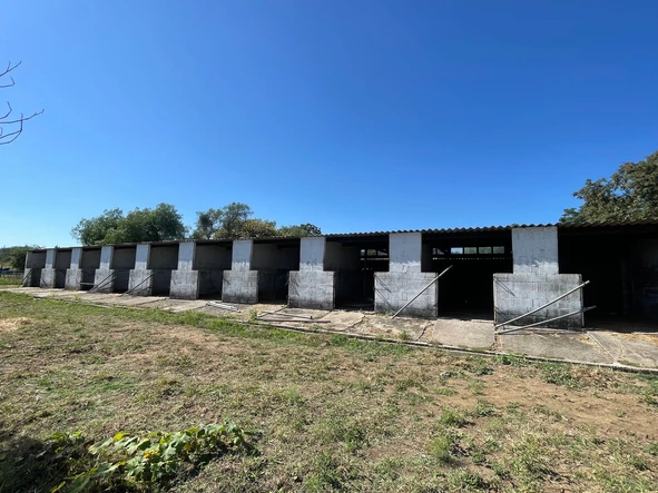 Farm & Agricultural Land