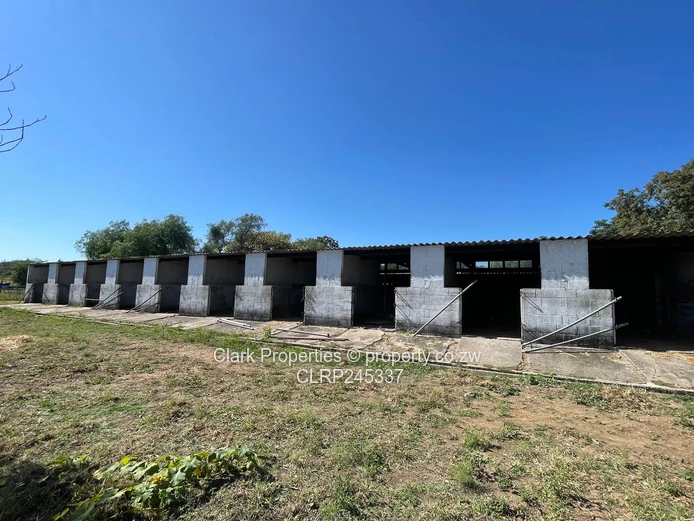 Multipurpose Farm Close To Bulawayo