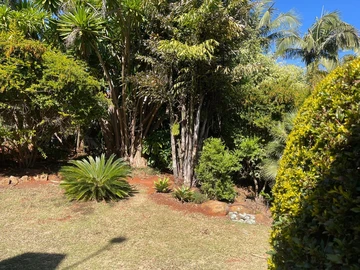 4 Bedroom Townhouse Complex