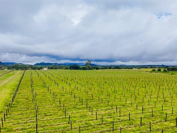Farm & Agricultural Land