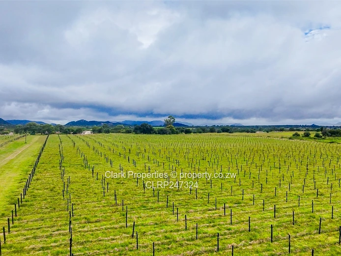 Prime Turnkey 338-Hectare Odzi, Mutare Farm (Sole Mandate)