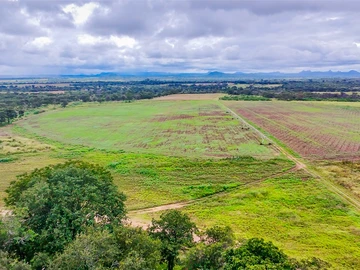 Farm & Agricultural Land