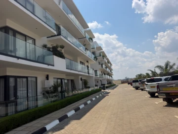 Flat & Apartment