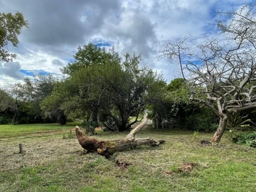 Farm & Agricultural Land