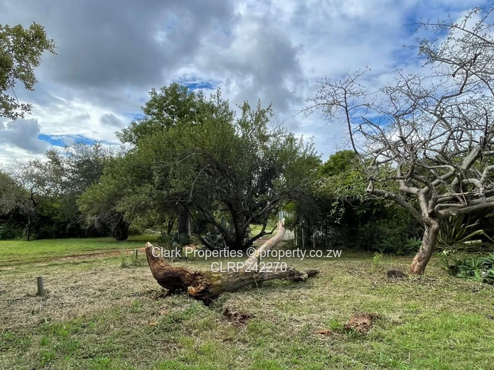 Exceptional Land Opportunity: Three Adjacent Plots