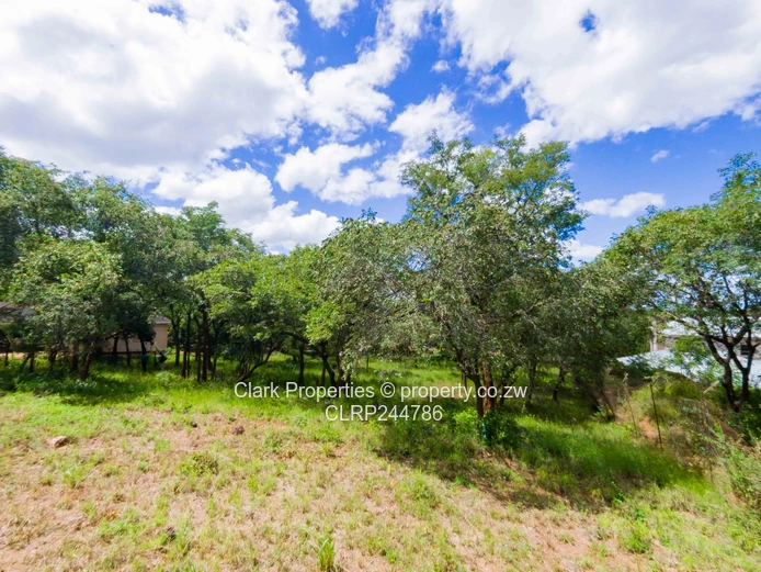 Prime 4,000sqm Residential Stand in Kadoma