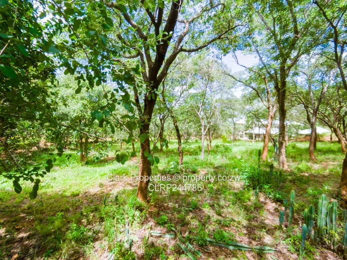 Prime 4,000sqm Residential Stand in Kadoma