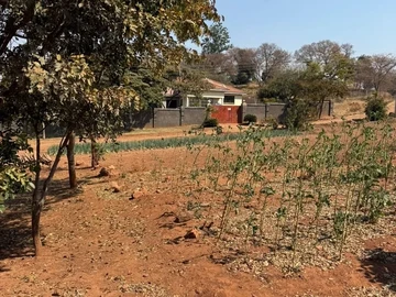 Stands & Residential Land