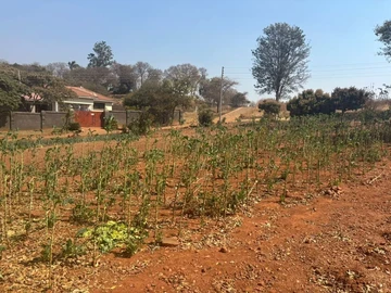 Stands & Residential Land