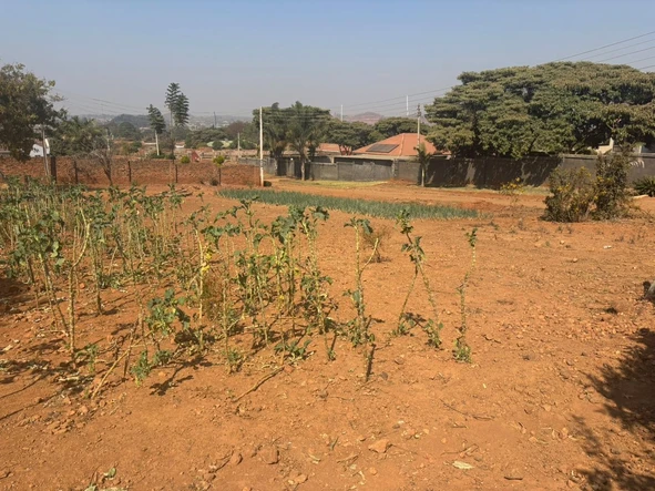 Stands & Residential Land