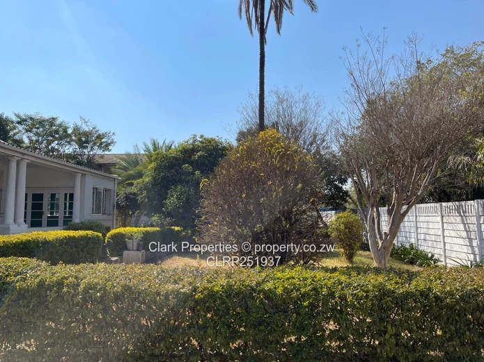 Commercial Property in the Avenues!