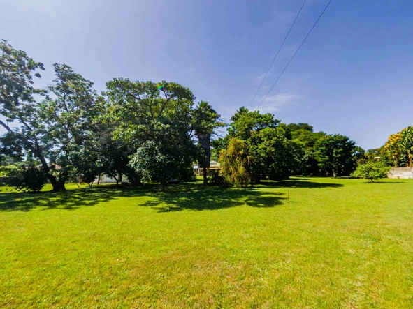 Stands & Residential Land