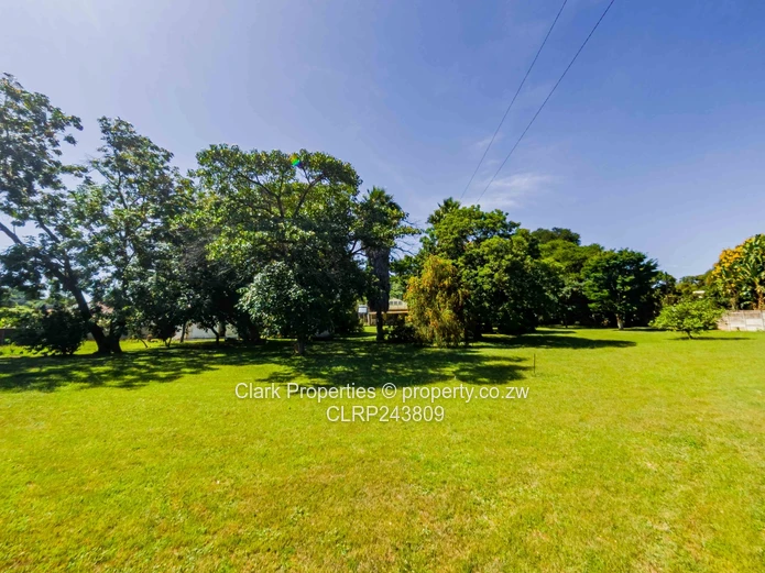 Developers Delight  (Sole Mandate)