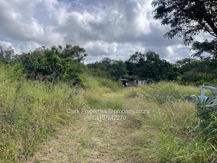 Exceptional Land Opportunity: Three Adjacent Plots