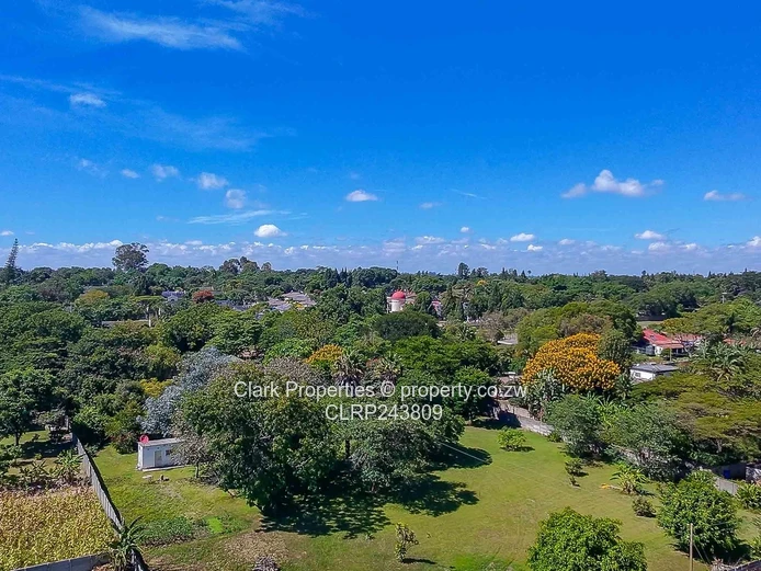 Developers Delight  (Sole Mandate)