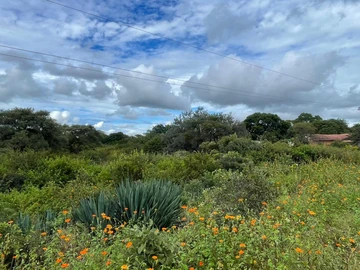 Farm & Agricultural Land