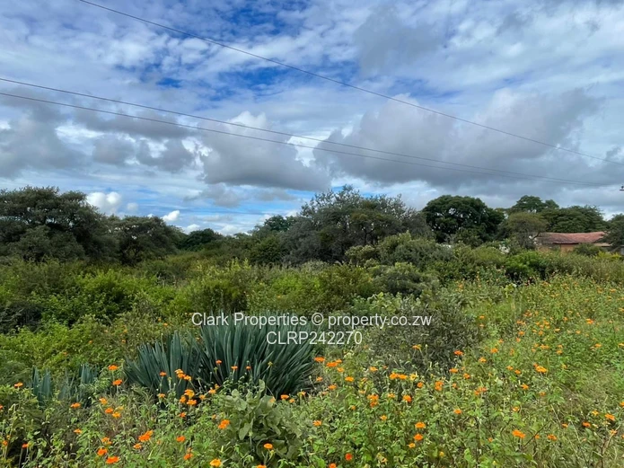 Exceptional Land Opportunity: Three Adjacent Plots