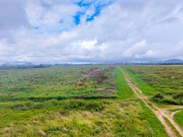Farm & Agricultural Land