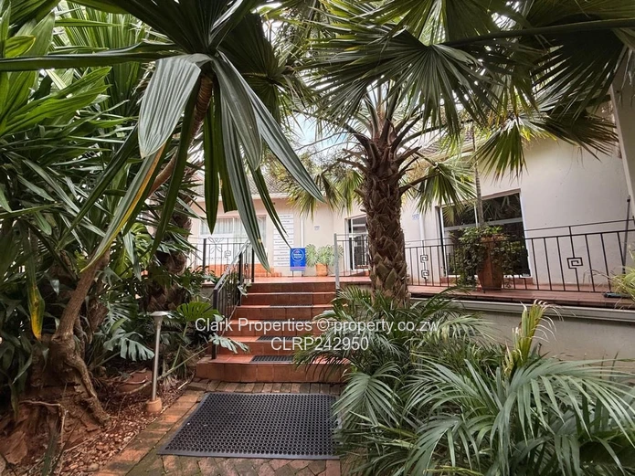 Medical & Wellness Rooms To Let – Highlands