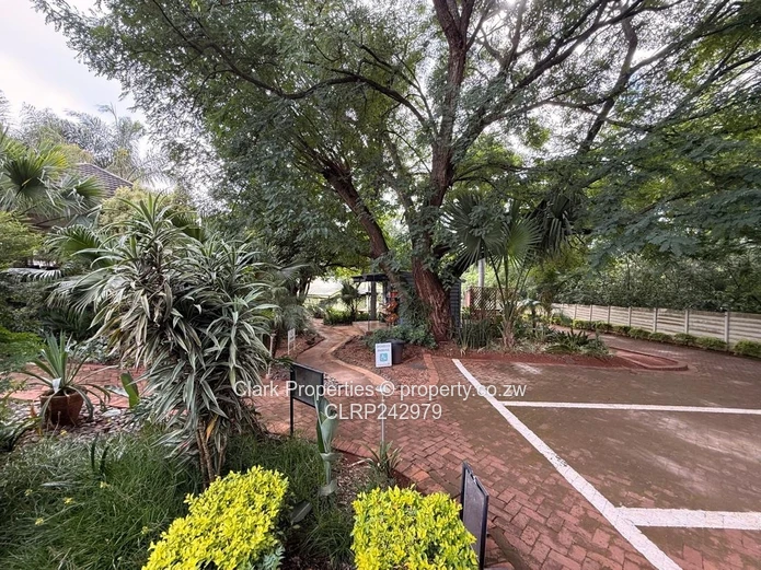 Medical & Wellness Rooms To Let – Highlands