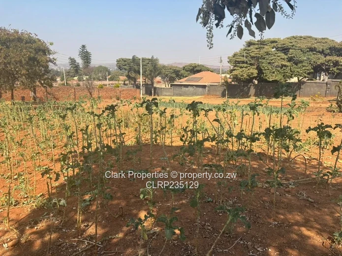 Tynwald Stand Perfect for Home or Investment