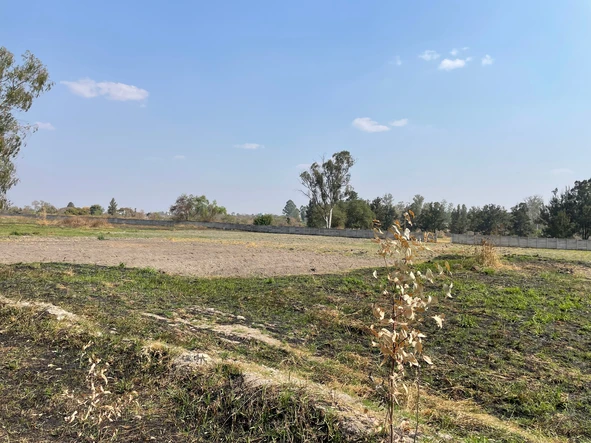 Commercial & Industrial Land